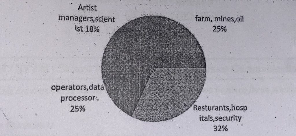 pie chart related to que