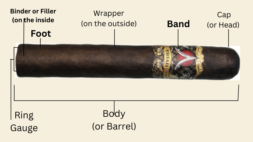 Figure of cigar with its different parts