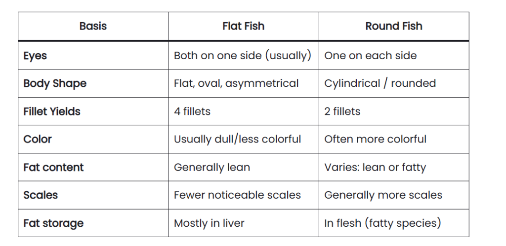 Differences between round fish and flat fish