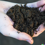 humus-soil-in-hand