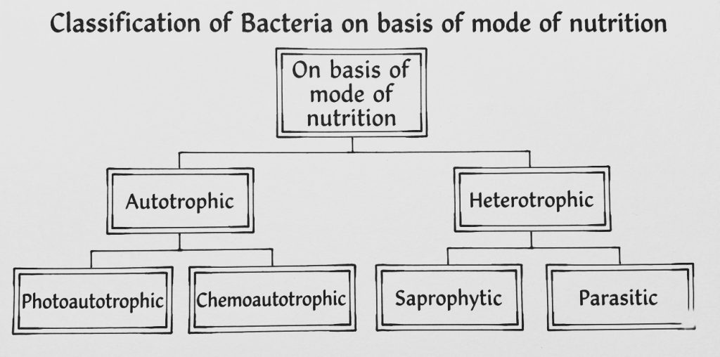 classification of bacteria on basis of mode of nutrition