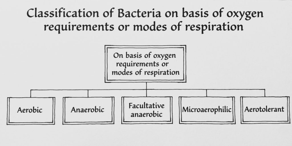 bacteria on basis on oxygen requirement or mode of respiration
