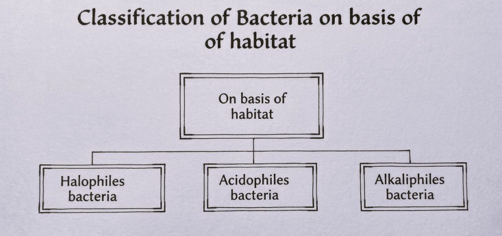 classification of bacteria on basis of habitat