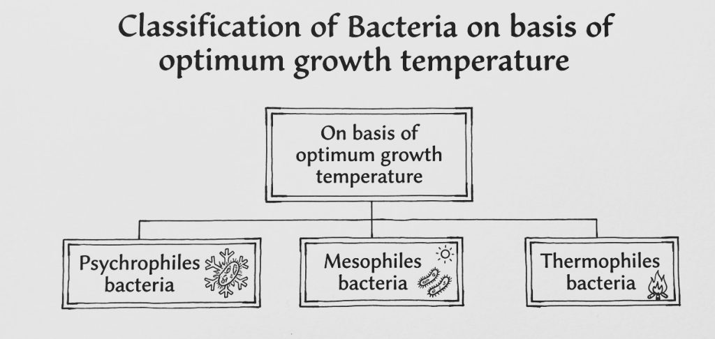 bacteria on the basis of growth temperature
