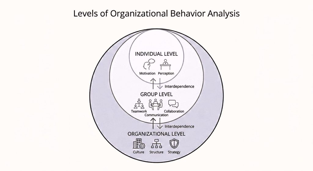 Levels of Organizational Behavior analysis