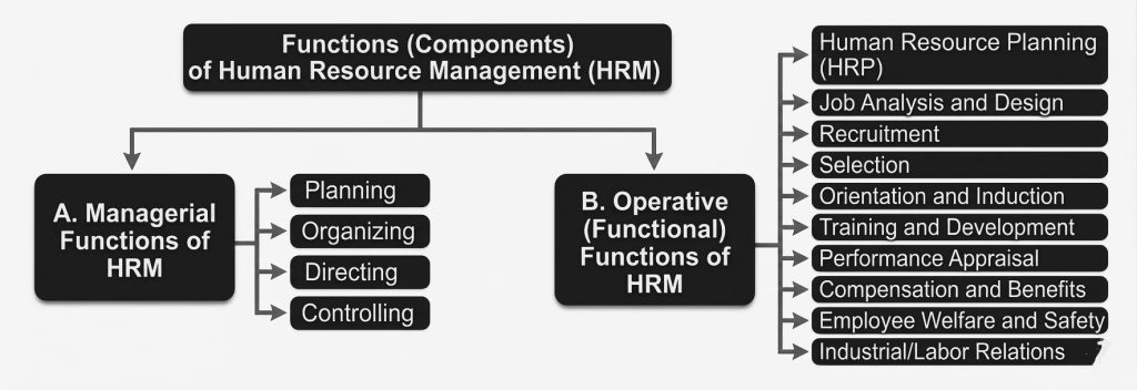 functions (components) of human resource management (HRM)