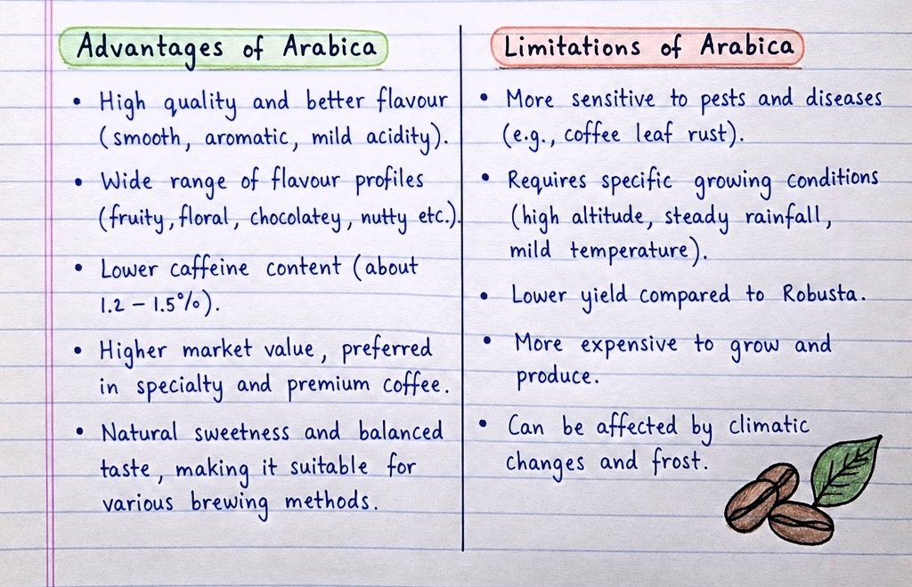 advantage and disadvantage of arabica coffee note